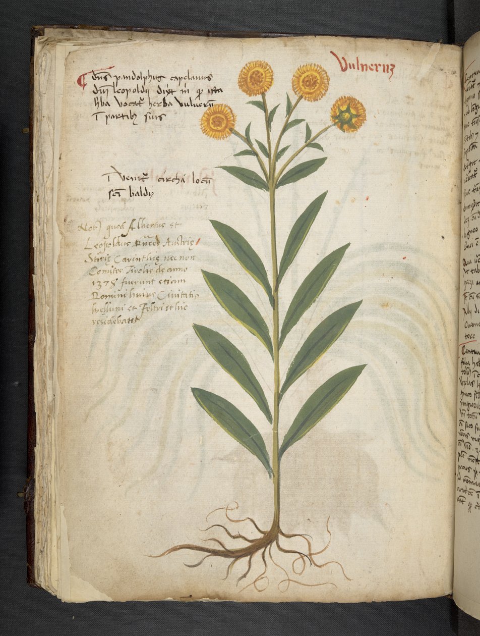 Lägg till MS 41623 f.49v 