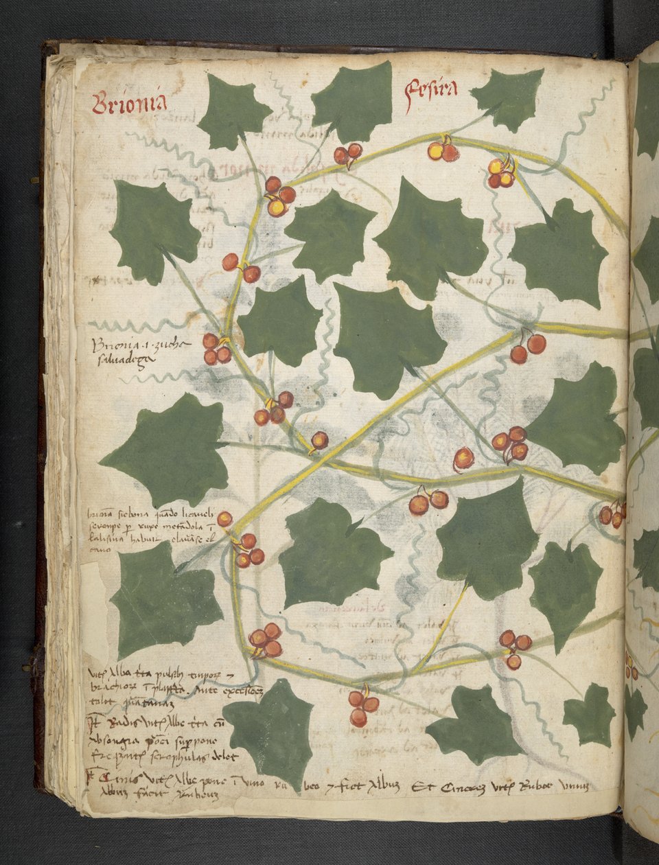 Lägg till MS 41623 f.53v 