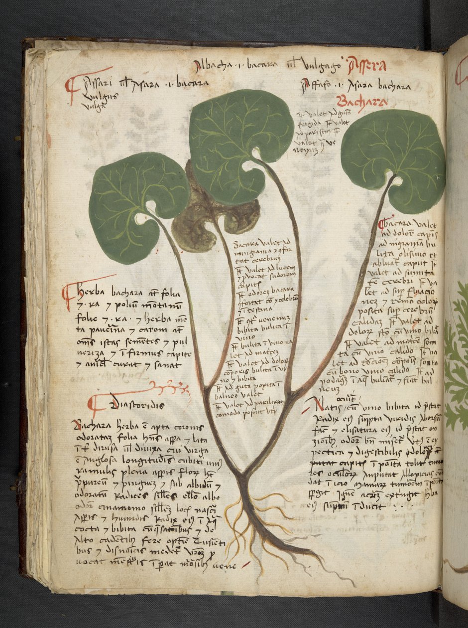 Lägg till MS 41623 f.60v 