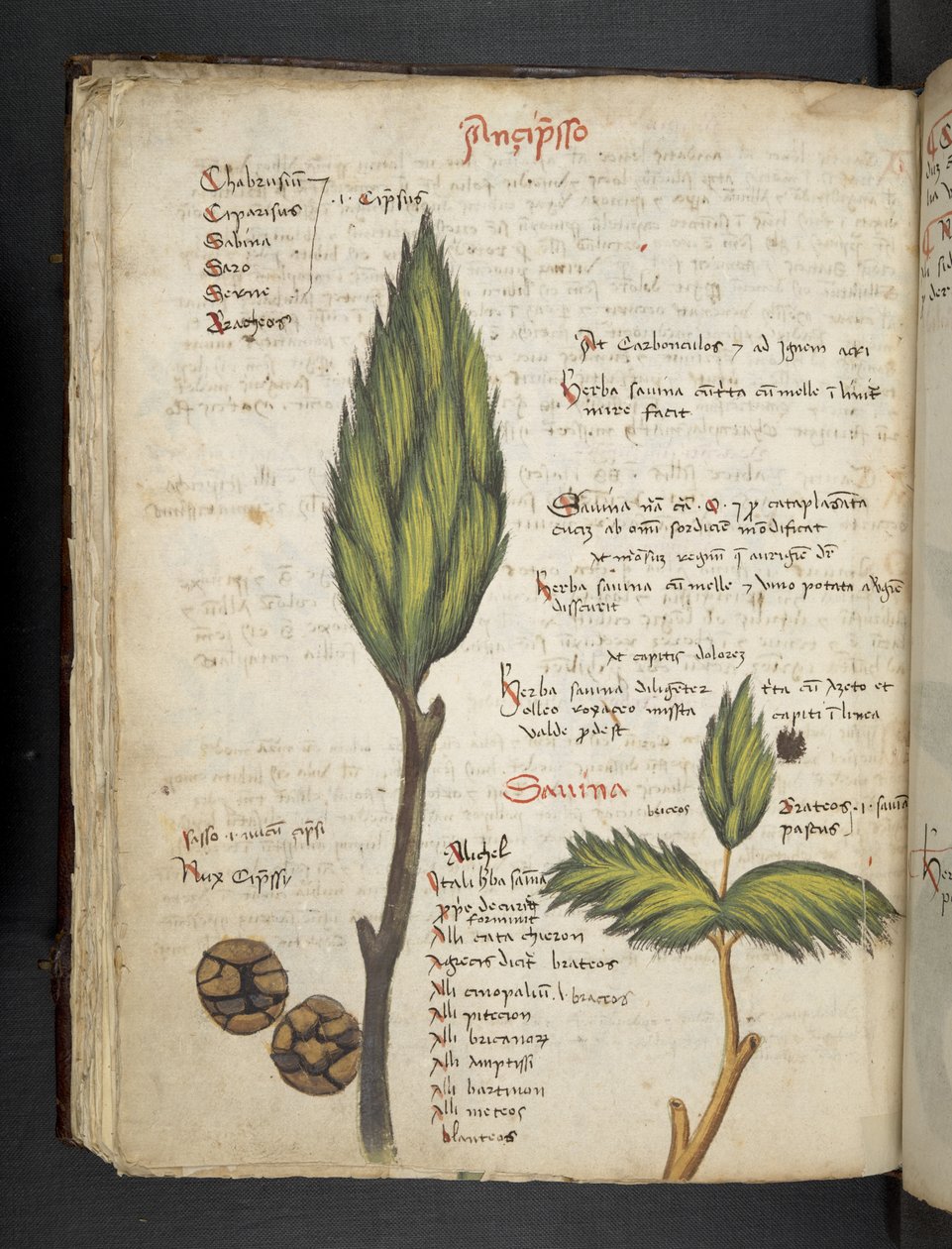 Lägg till MS 41623 f.62v 