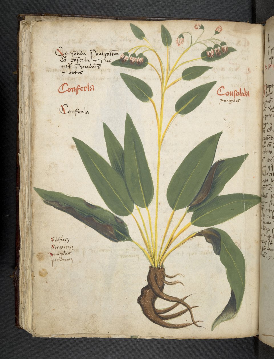 Lägg till MS 41623 f.63v 