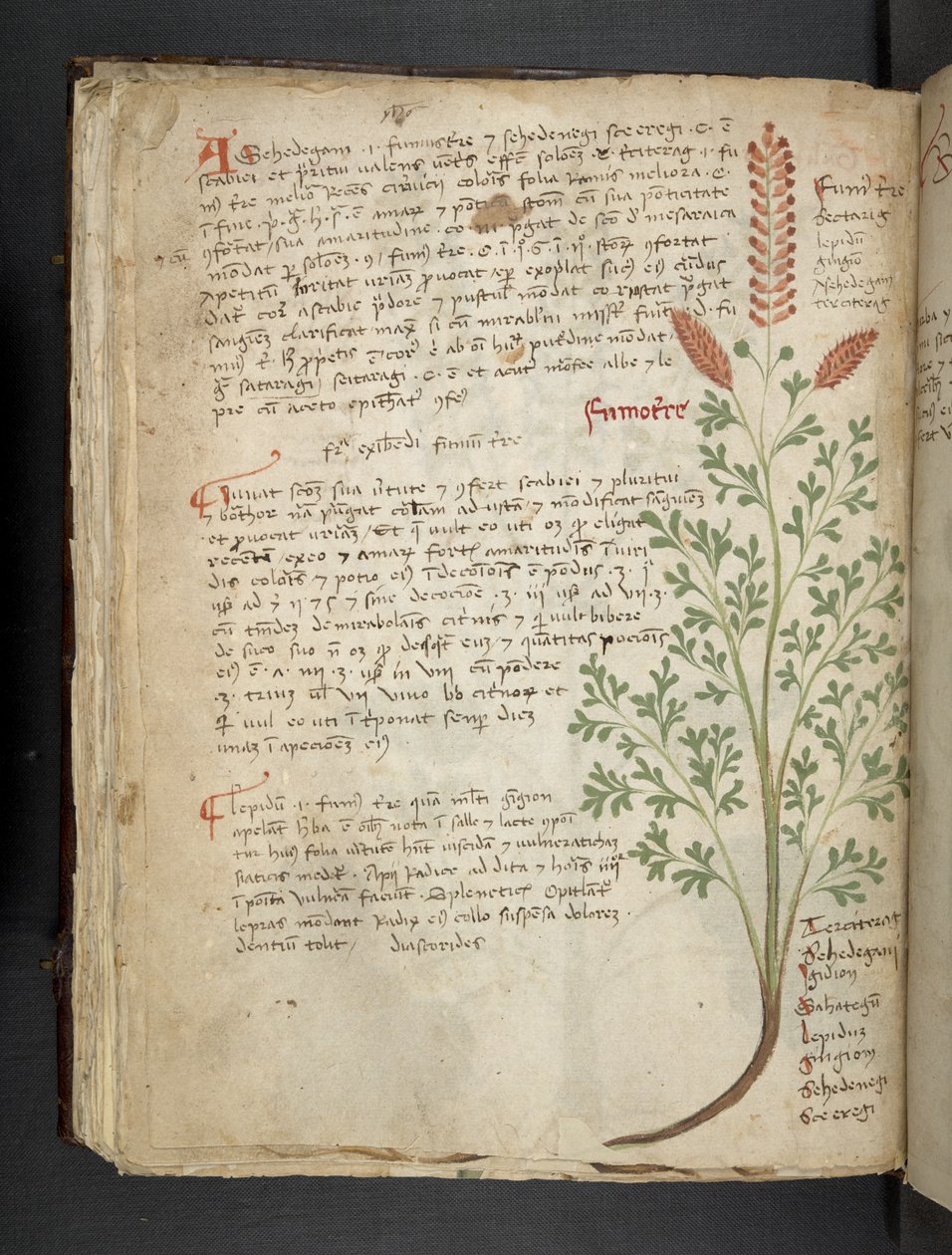 Lägg till MS 41623 f.65v 