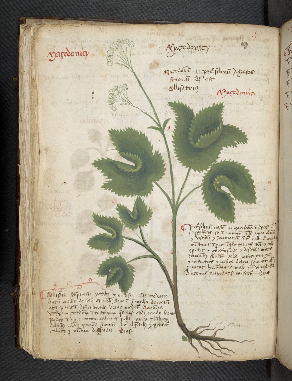 Lägg till MS 41623 f.67v 
