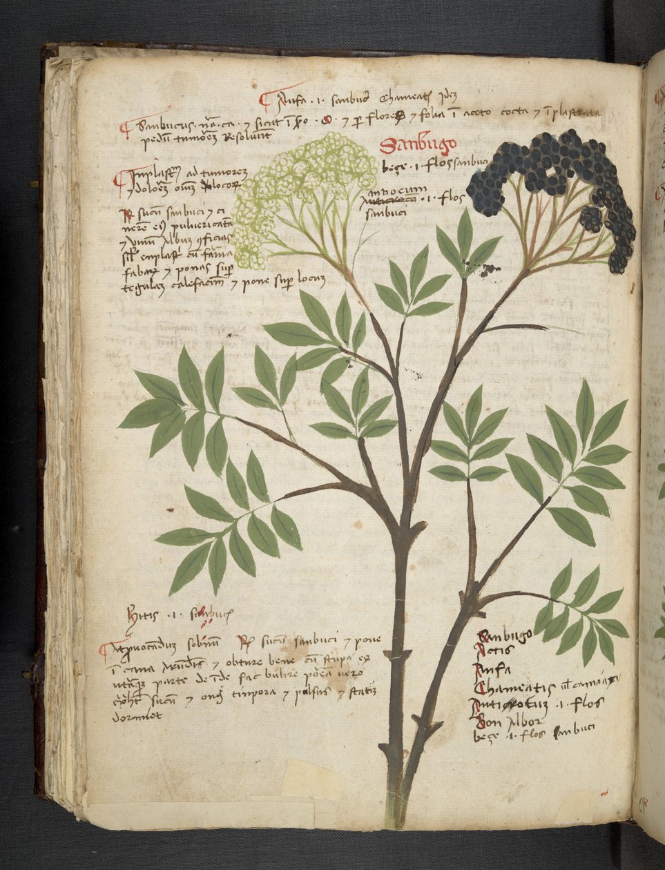Lägg till MS 41623 f.72v 
