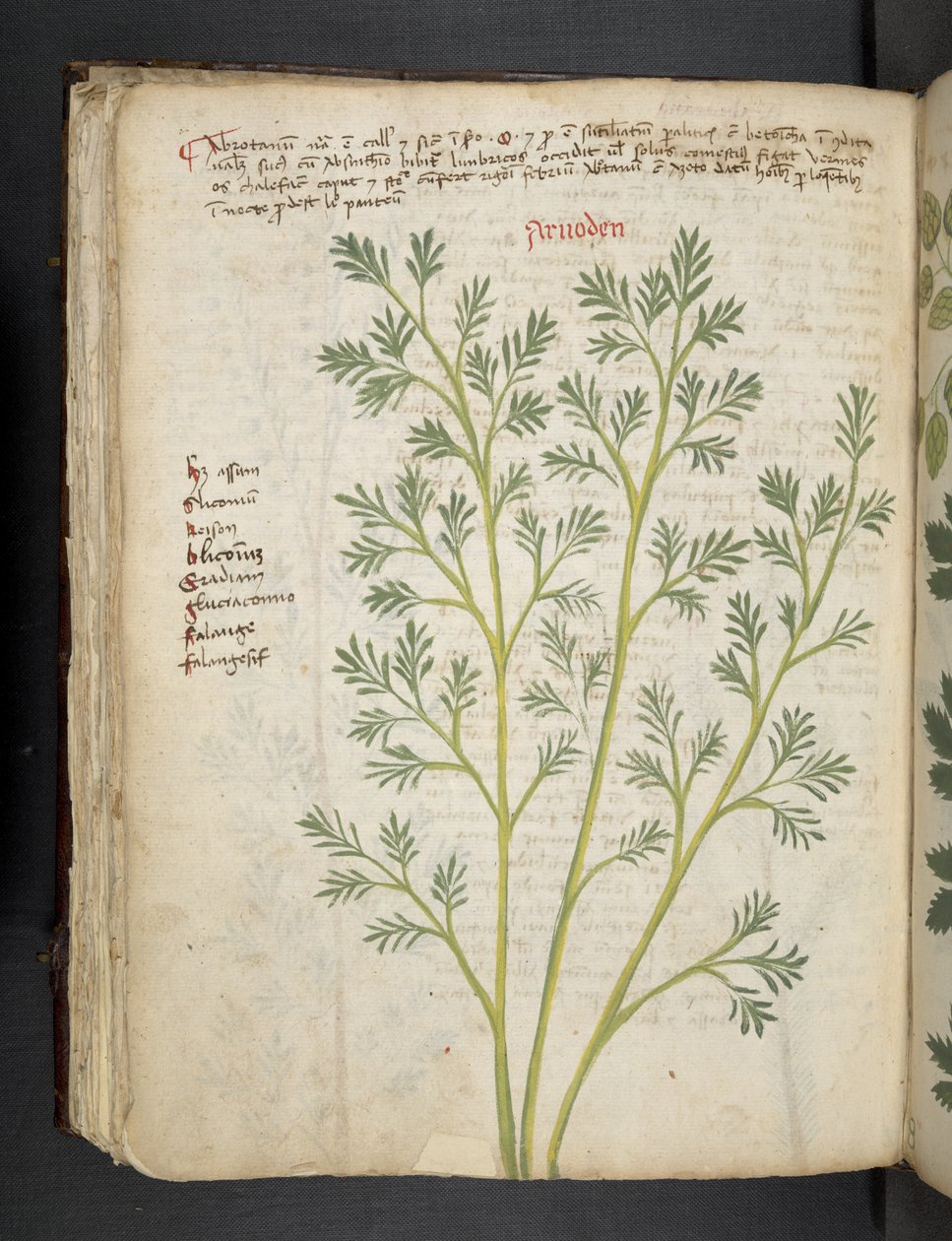 Lägg till MS 41623 f.74v 