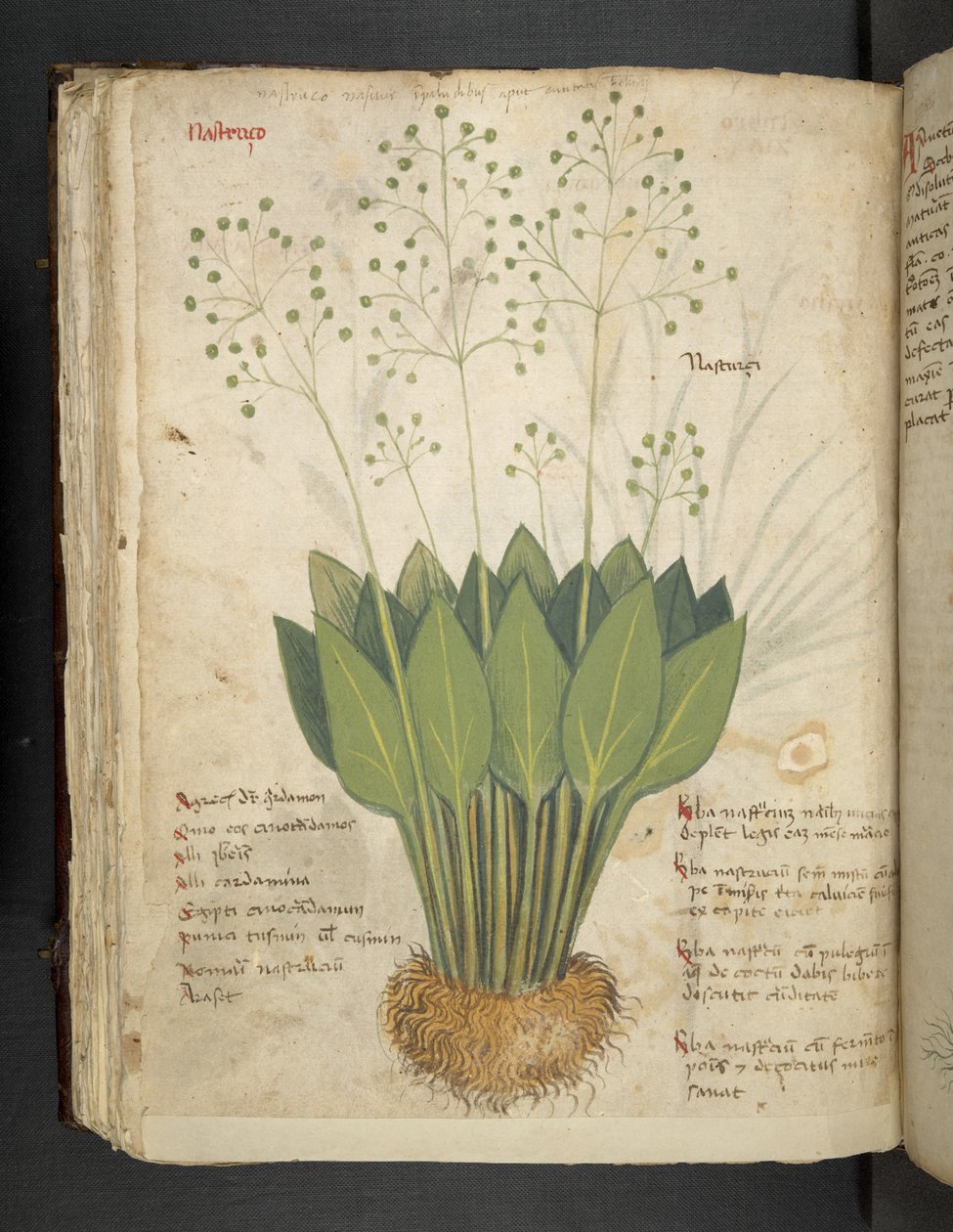 Lägg till MS 41623 f.85v 