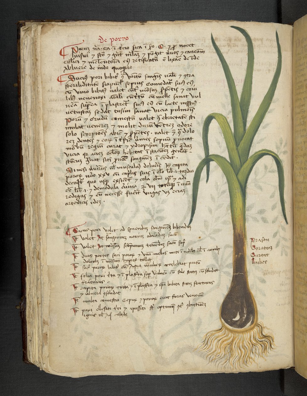 Lägg till MS 41623 f.87v De Porro 