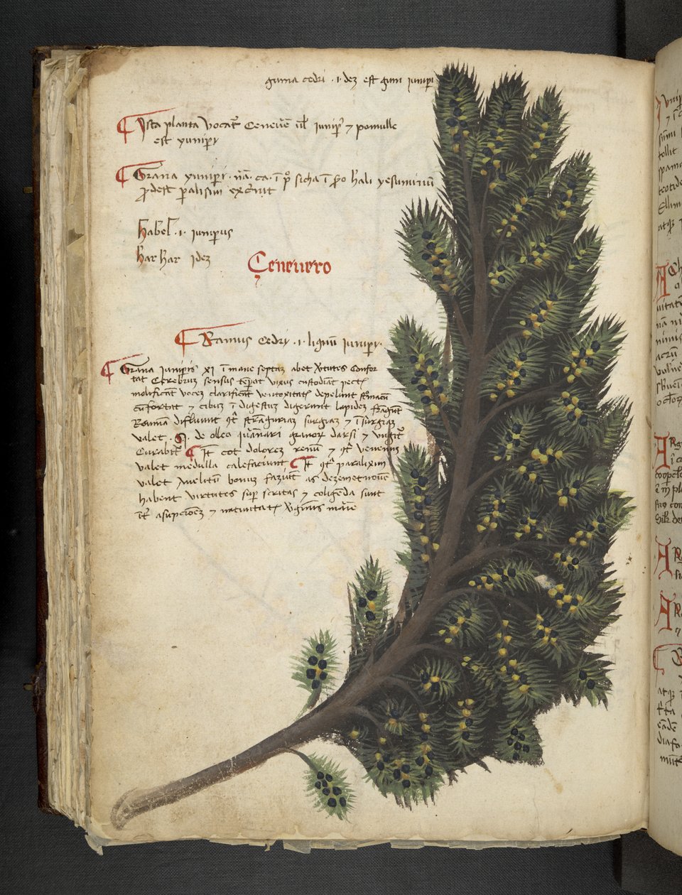 Lägg till MS 41623 f.96v 