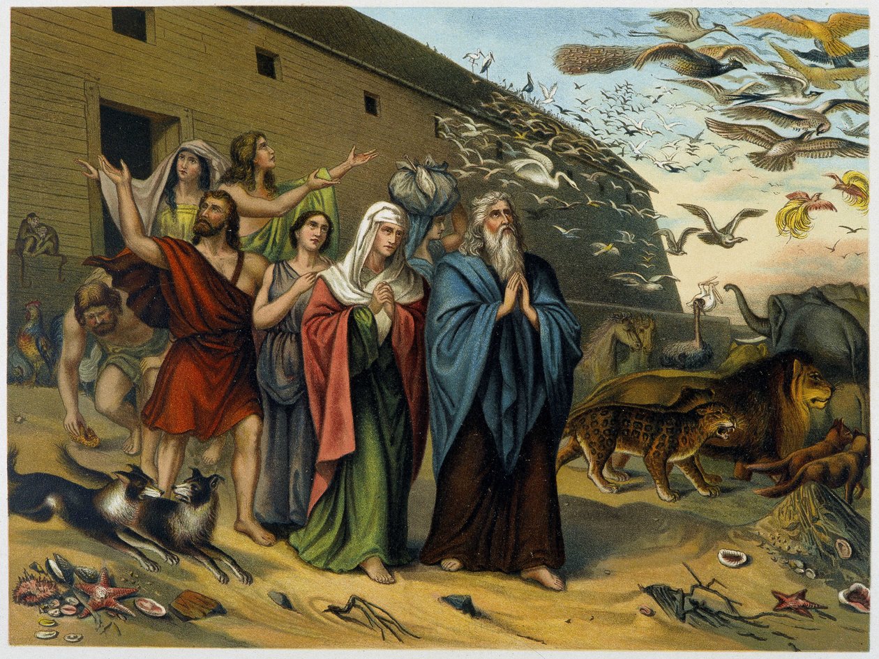 Efter syndafloden kommer Noa, hans familj och djur ut ur arken - i "Classic Golden Bible: history of divine revelation in the ancient and in the new tension" "av Giovanni Ladislao Sykora (bd 1), översatt av Don Clemente Benetti . (Italiensk bibel) av Italian School