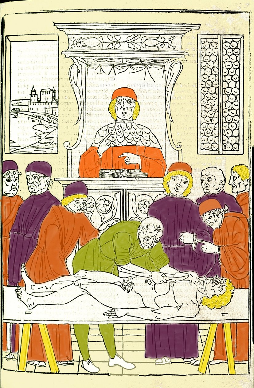 Anatomisk dissektion. Gravyr från en behandling av medicin av Gerolamo Cardano (Cardano) (Cardanus Hieronymus), Florens av Italian School