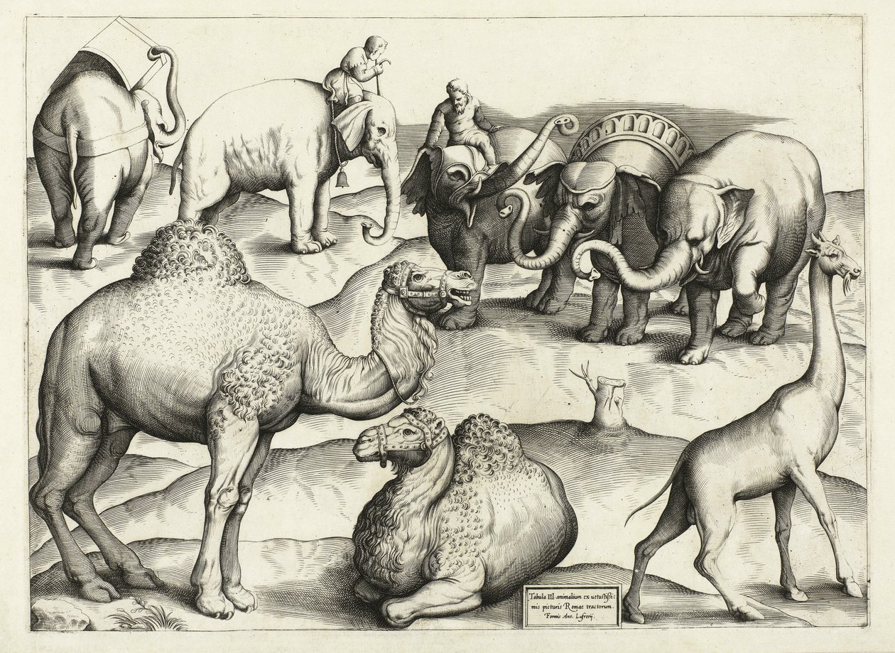 Djurmålningar från antikens Rom, bord, 3., pub. Antonio Lafrere 1528 av Italian School