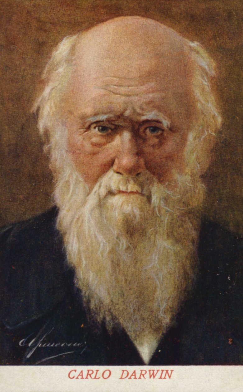 Charles Darwin (1809-1882), engelsk naturforskare (färglitografi) av Italian School