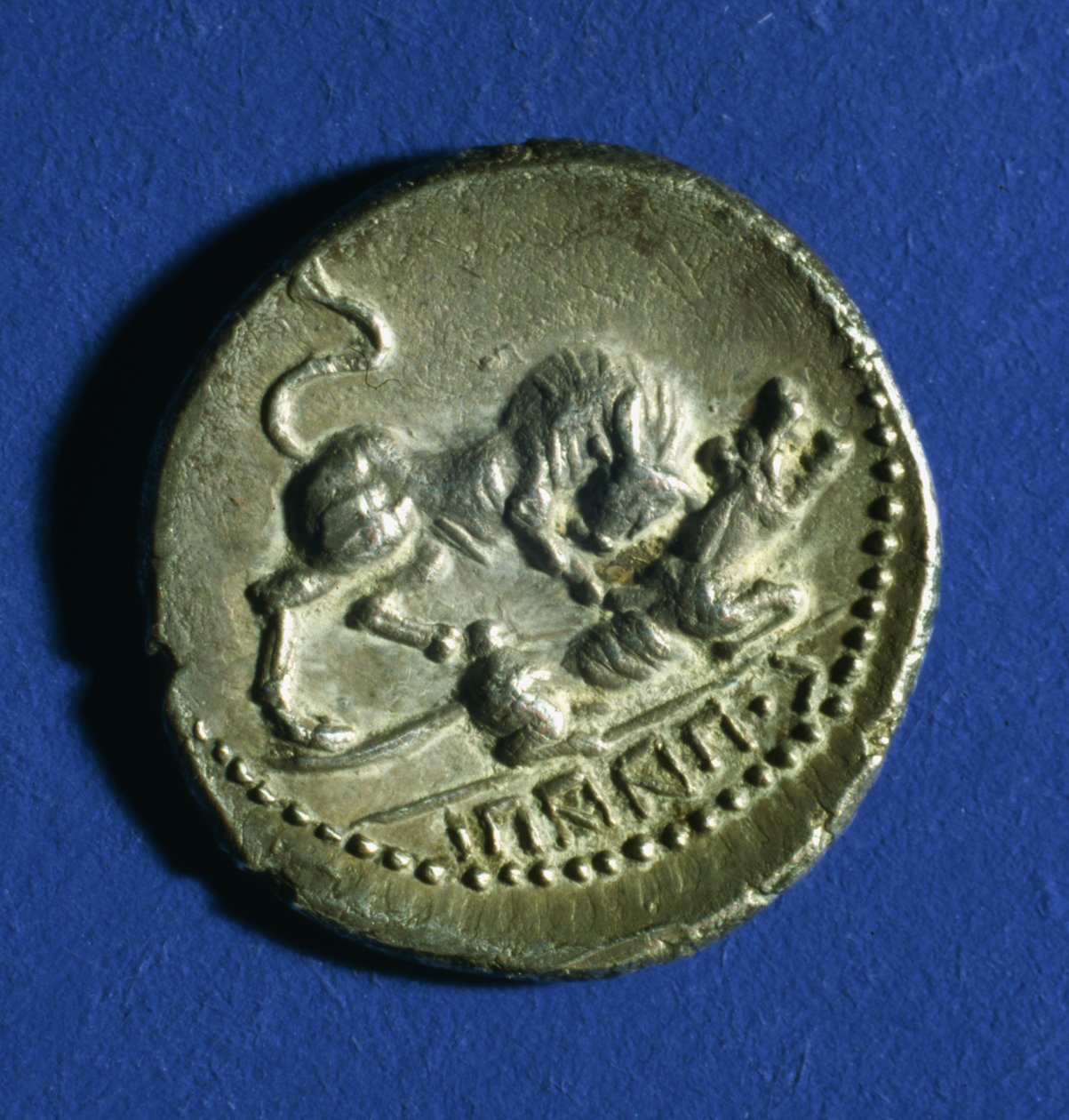 Mynt av de kursiva stammarna som visar en tjur som attackerar den romerska vargen, 89-90 f.Kr. (silver) av Italian School