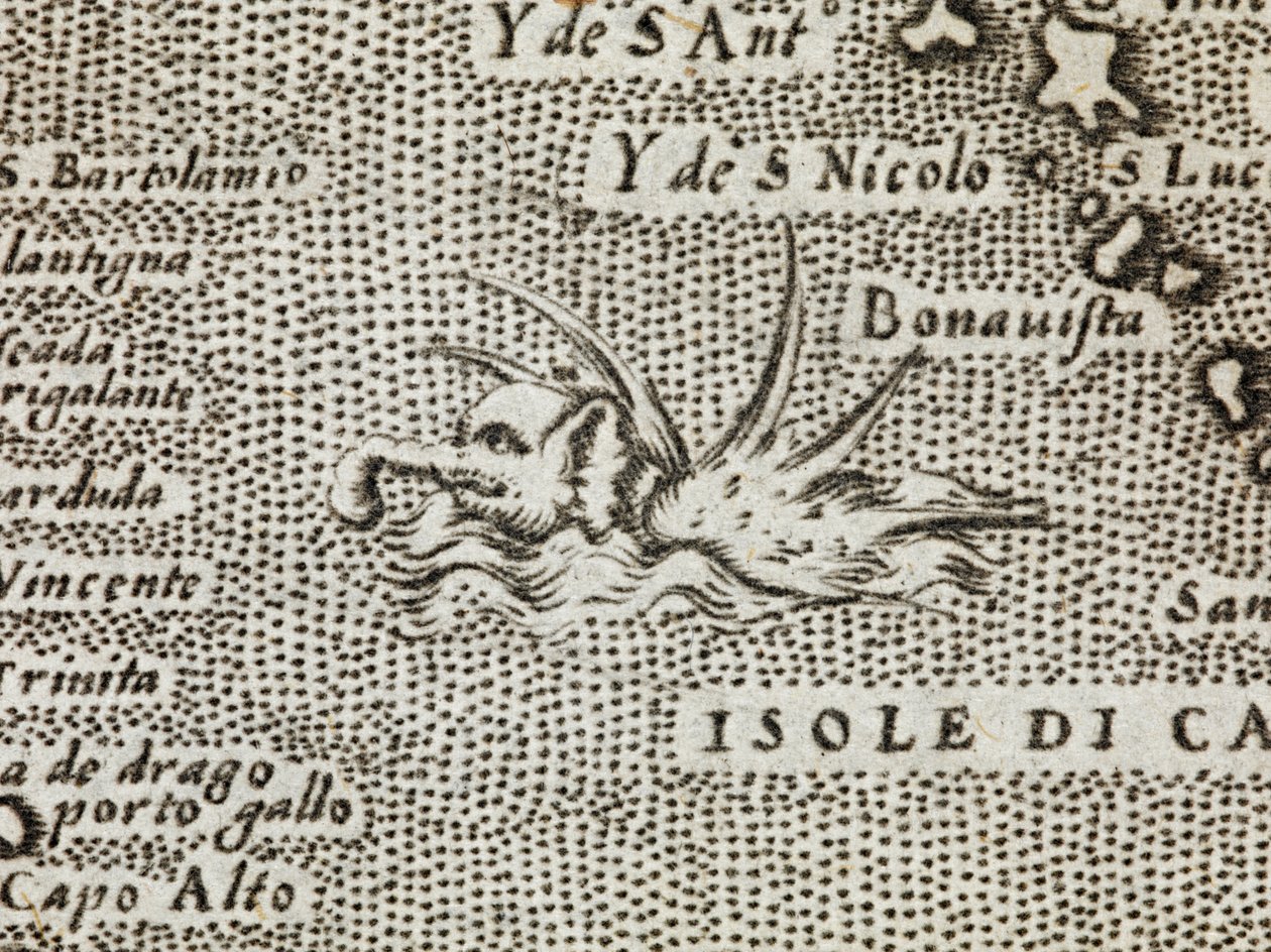 Detalj av en havselefant med en imponerande samling av spikar som sticker ut från ryggen, från "Den mest kända ön i världen, beskrev av Thomaso Porcacchi från Castiglione, Arretino, och snidad av Girolamo Porro, Padovano" av Italian School