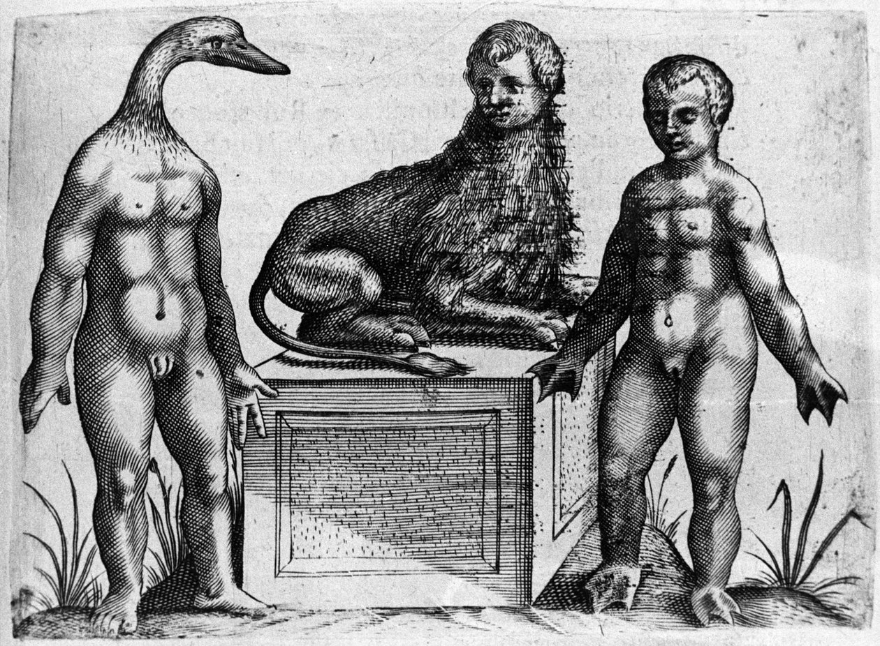 Olika typer av mänskliga monster: en man med huvudet av en anka, en man med kroppen av ett lejon och en annan med handflatan. Gravyr från "De monstrorum natura, causis et differentiis" av Fortunio Liceti (1577-1656), italiensk vetenskapsman. 1646 av Italian School