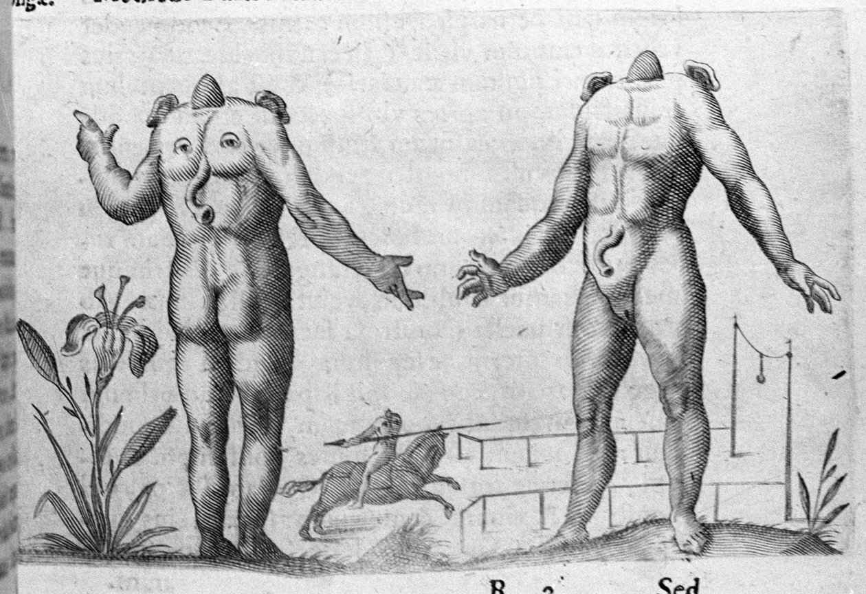 Olika typer av mänskliga monster: en man utan huvud. Gravyr från "Monstrens natur, deras orsaker och skillnader" av Fortunio Whilei (1577-1656), italiensk vetenskapsman. 1646 av Italian School