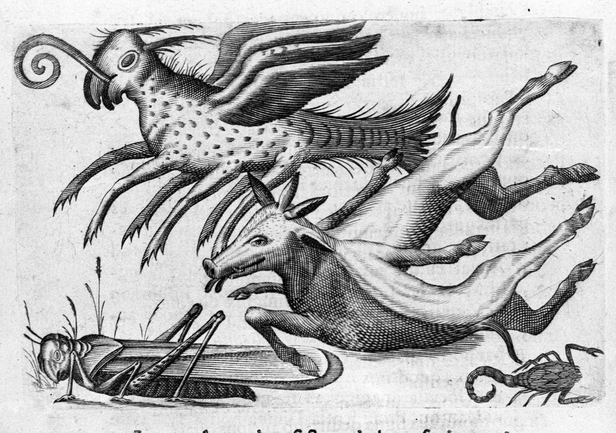 Olika typer av monstruösa djur. Gravyr från "Monstrens natur, deras orsaker och skillnader" av Fortunio Whilei (1577-1656), italiensk vetenskapsman. 1646 av Italian School