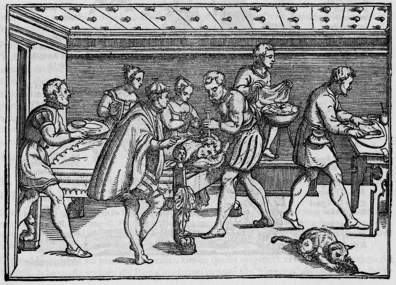 Gravyr av 1574 i "" Della Cirurgia "" "(Om kirurgi) av Giovanni Andrea dalla Croce italiensk kirurg. av Italian School