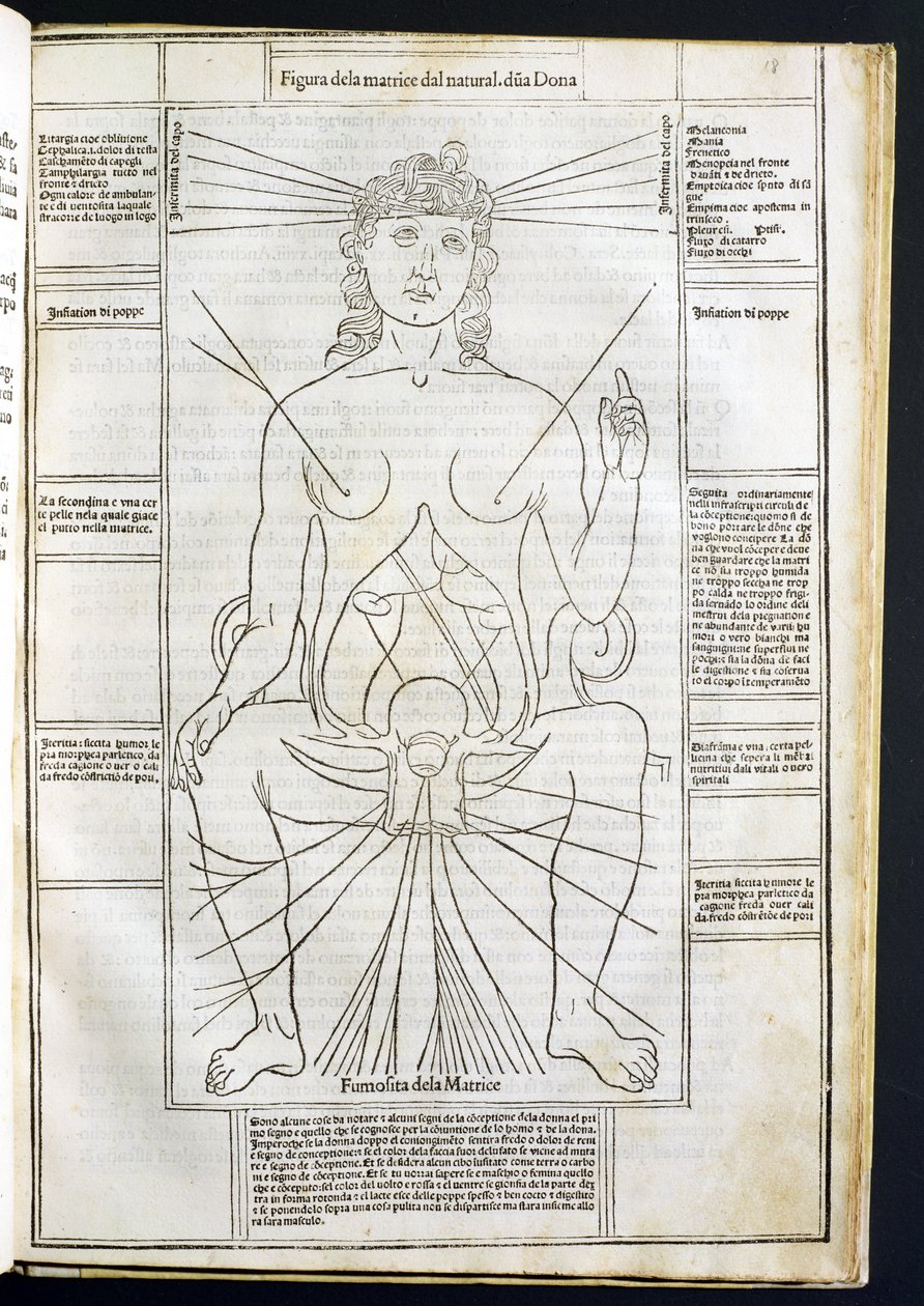 Female Anatomy from Fasciculus Medicinae av Johannes de Ketham (d.c.1490) c.1507 av Italian School