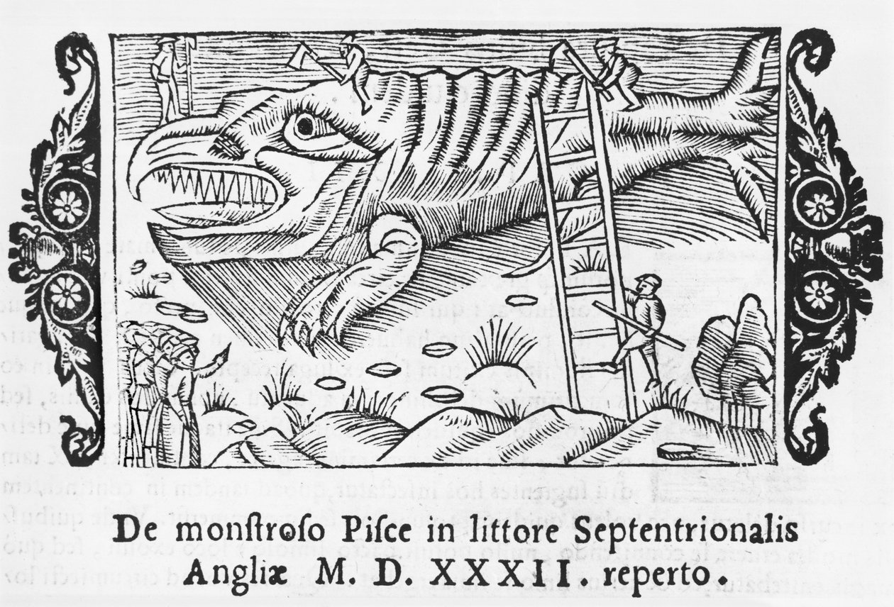 Fiskmonster, illustration från History of the Northern Nations av Olaus Magnus (1490-1558), publicerad i Rom, 1555 av Italian School