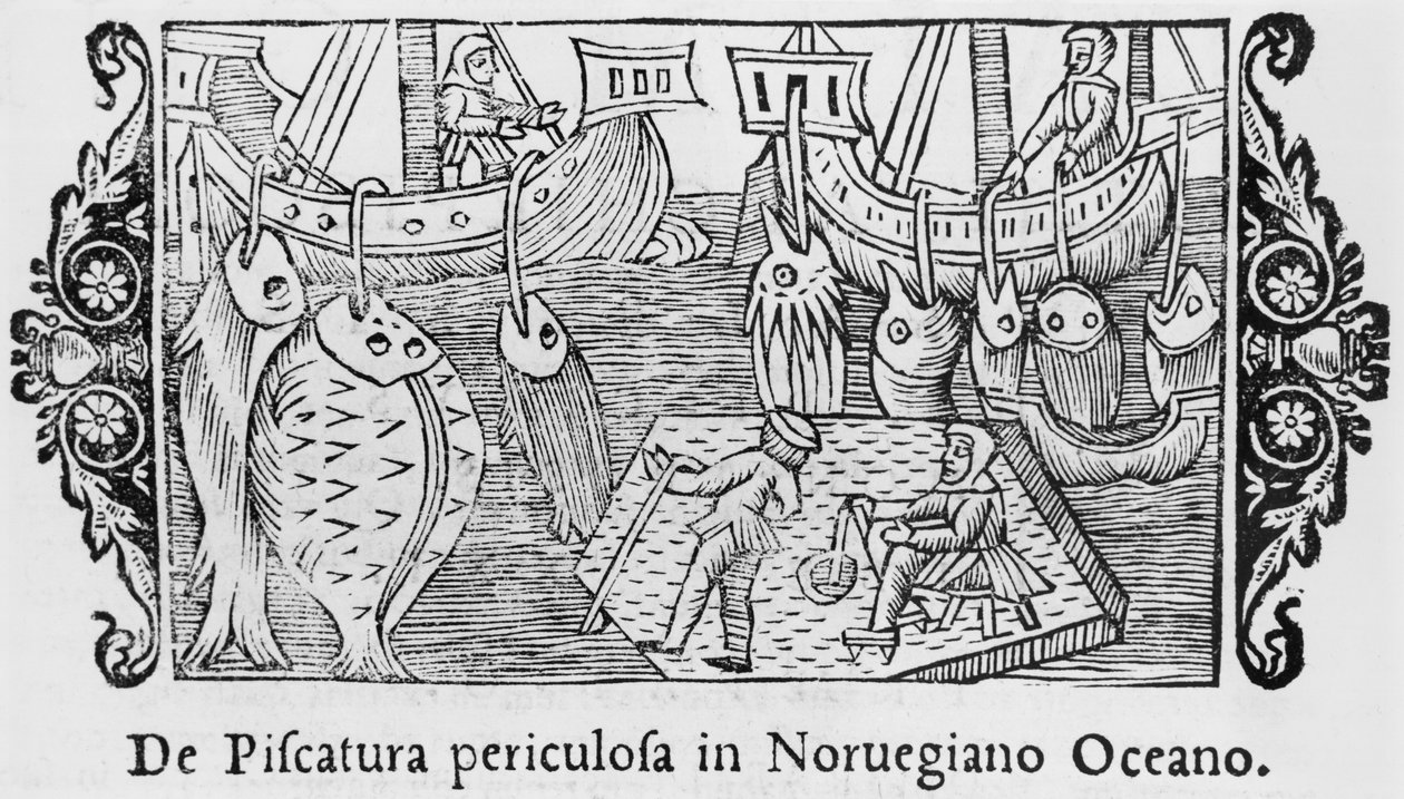 Fiske i Norska havet, illustration från History of the Northern Nations av Olaus Magnus (1490-1558), publicerad i Rom, 1555 av Italian School