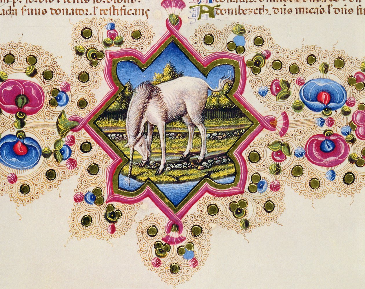 Fol.245V A Unicorn, från Borso d