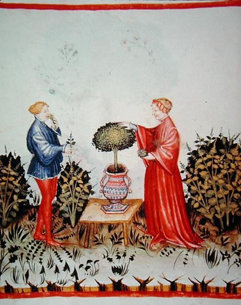 Fol.39v Samling av Basilicum Curatum, illustration från 
