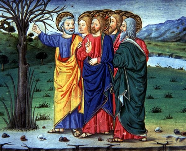 Fol.63r Petrus pekar ut för Kristus ett torkat träd (vellum) av Italian School
