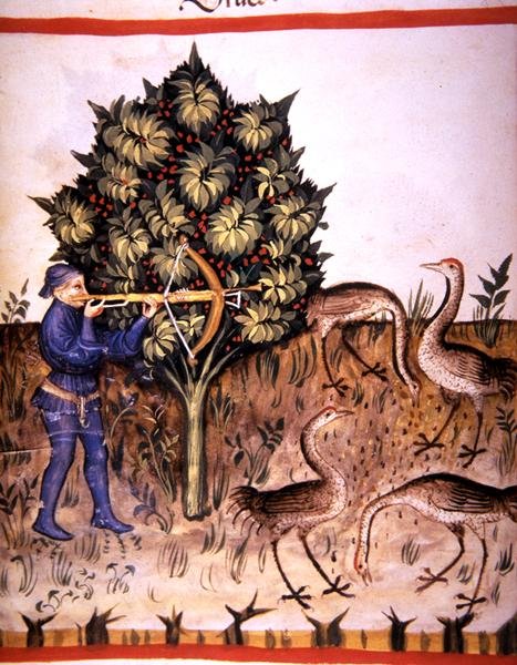 Fol.70v jaktkran, illustration från 