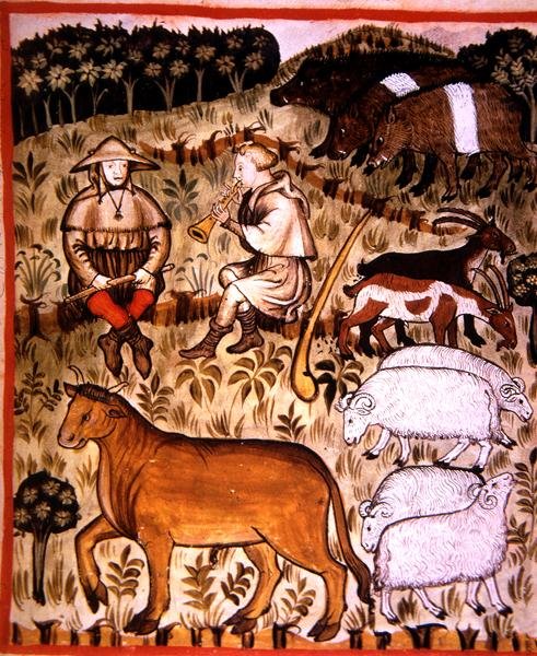 Fol.71r kastrerade djur, illustration från 