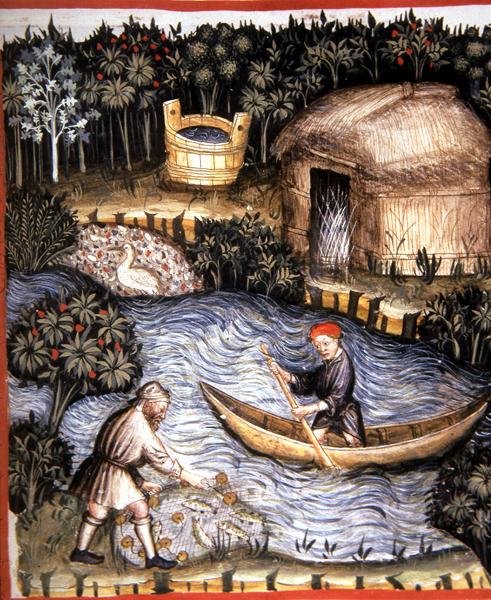 Fol.82r Färsk fisk, illustration från 