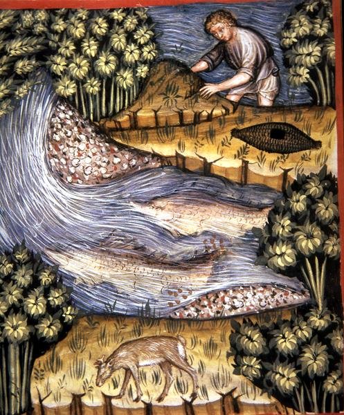 Fol.84v Amber, illustration från 