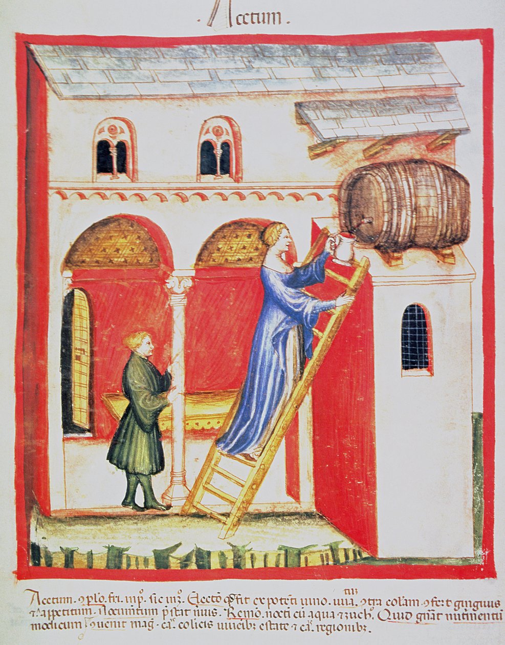 Fol.85v Vinäger, illustration från Tacuinum Santiatis Codex Vindobonensis av Italian School