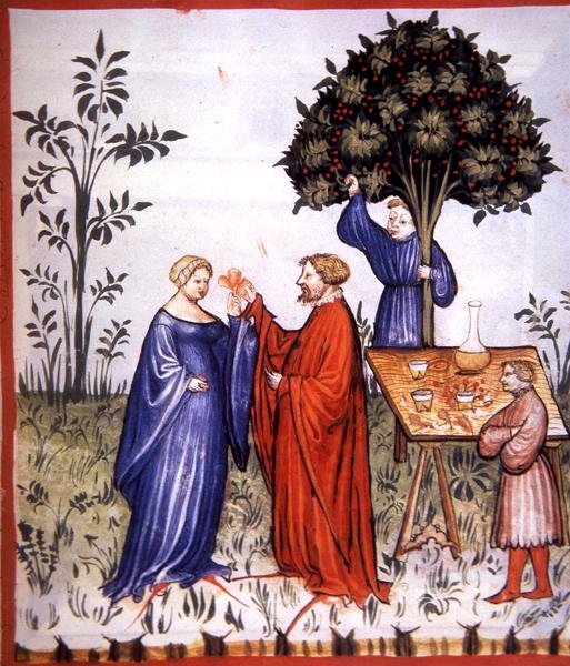 Fol.86r White Wine, illustration från 