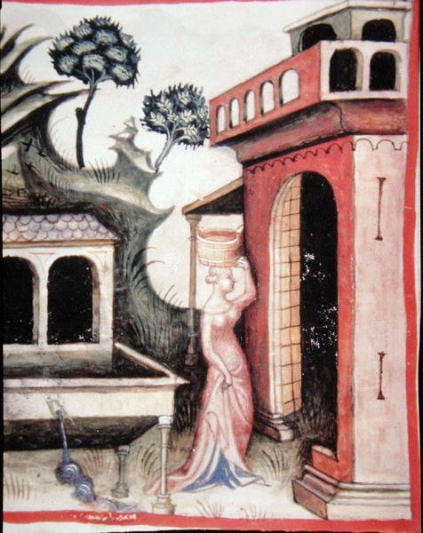 Fol.88v källvatten, illustration från 
