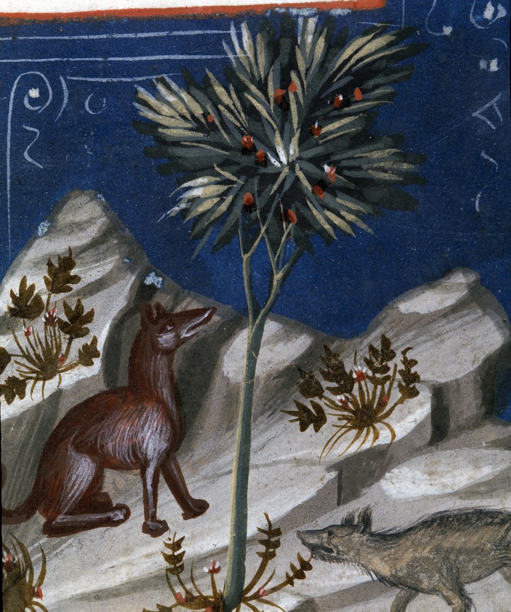 Räv och en varg, illustration från "Codex Justianus", 1350 av Italian School