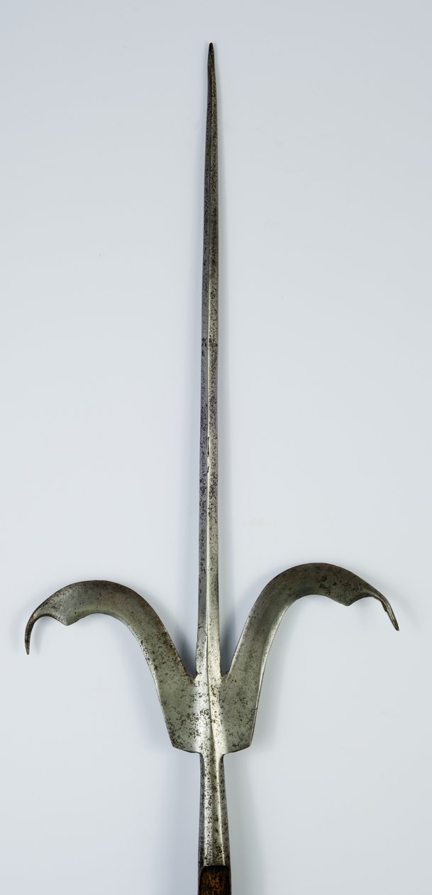 Friuli Spear, c.1600 (stål och trä) av Italian School