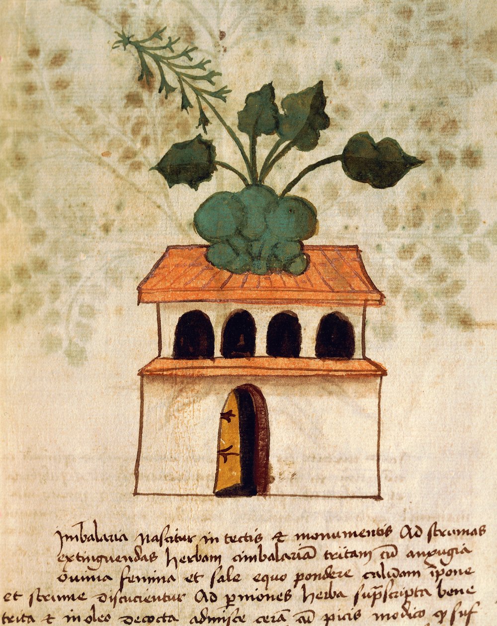 Hängande trädgård av Italian School