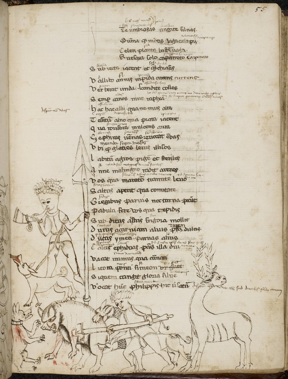 Harley 2453, f.55 En jaktscen med en galt, en hjort, jägare, hundar och en hare, från 