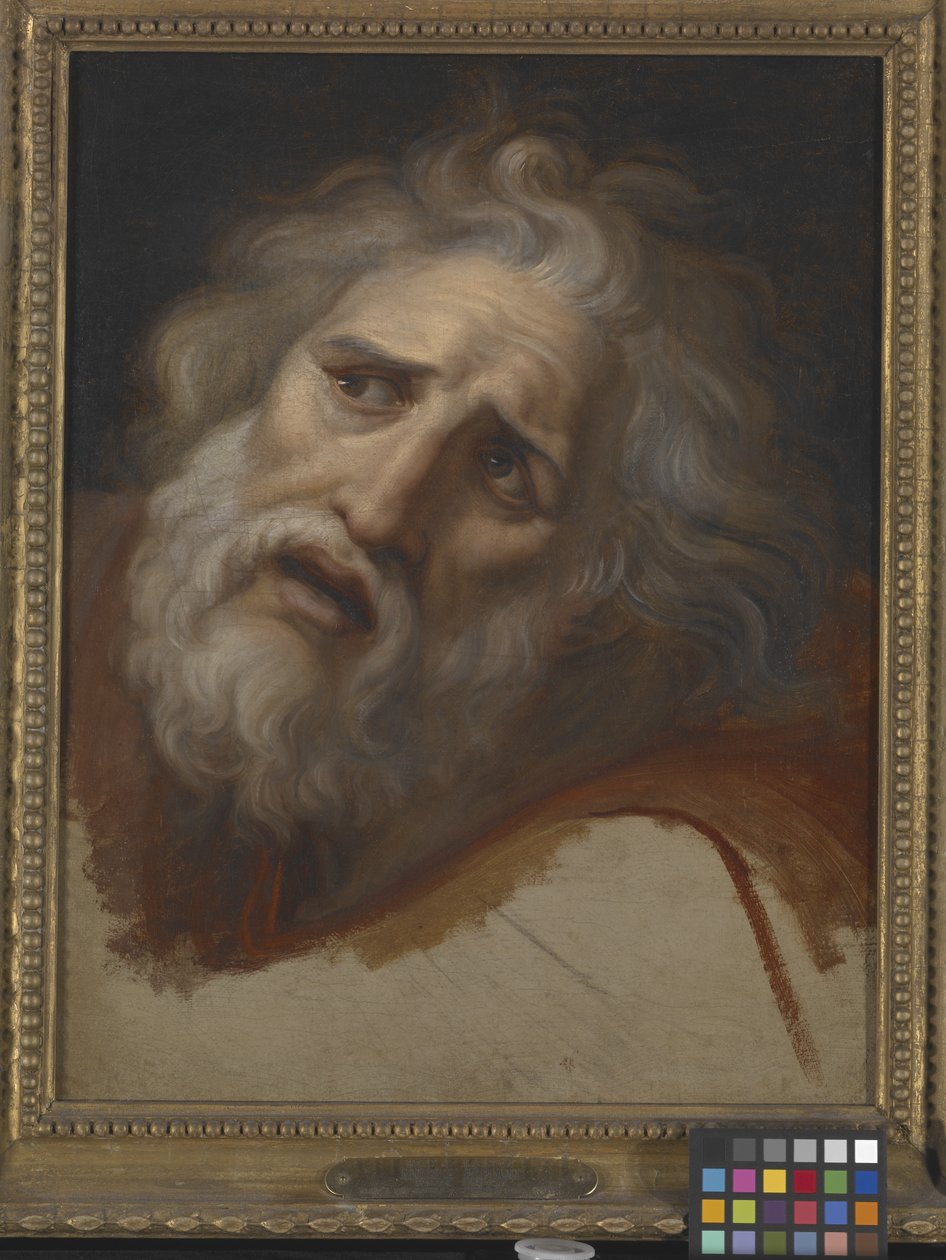 Head Of Laocoon (olja på duk) av Italian School