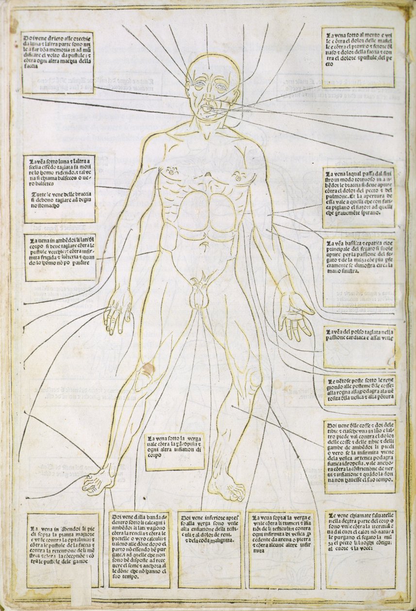 Illustration från "Fassiculus Medicinae" Venedig av Italian School