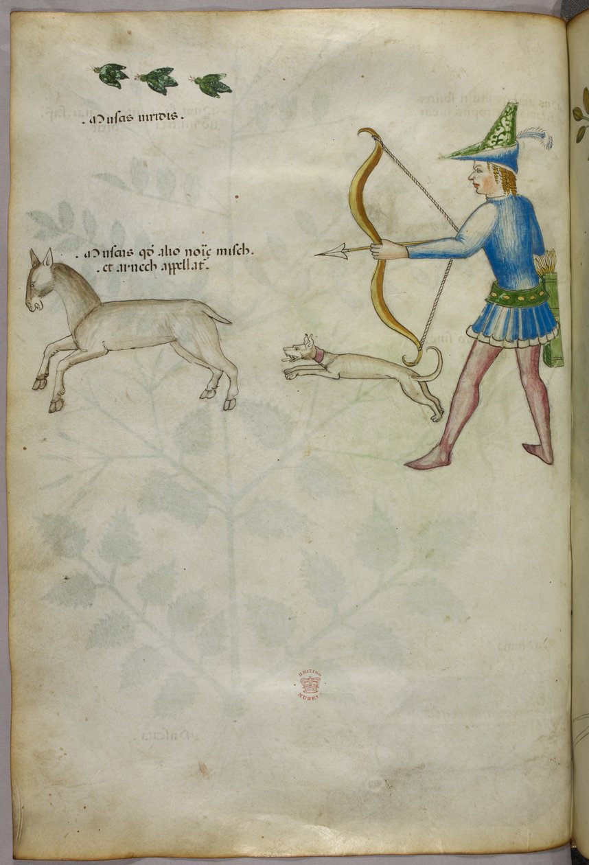 Illustration av en man med pilbåge som skjuter mot ett djur, med en hund och fåglar ovanför, ca 1440 (bläck  färg på pergament) av Italian School