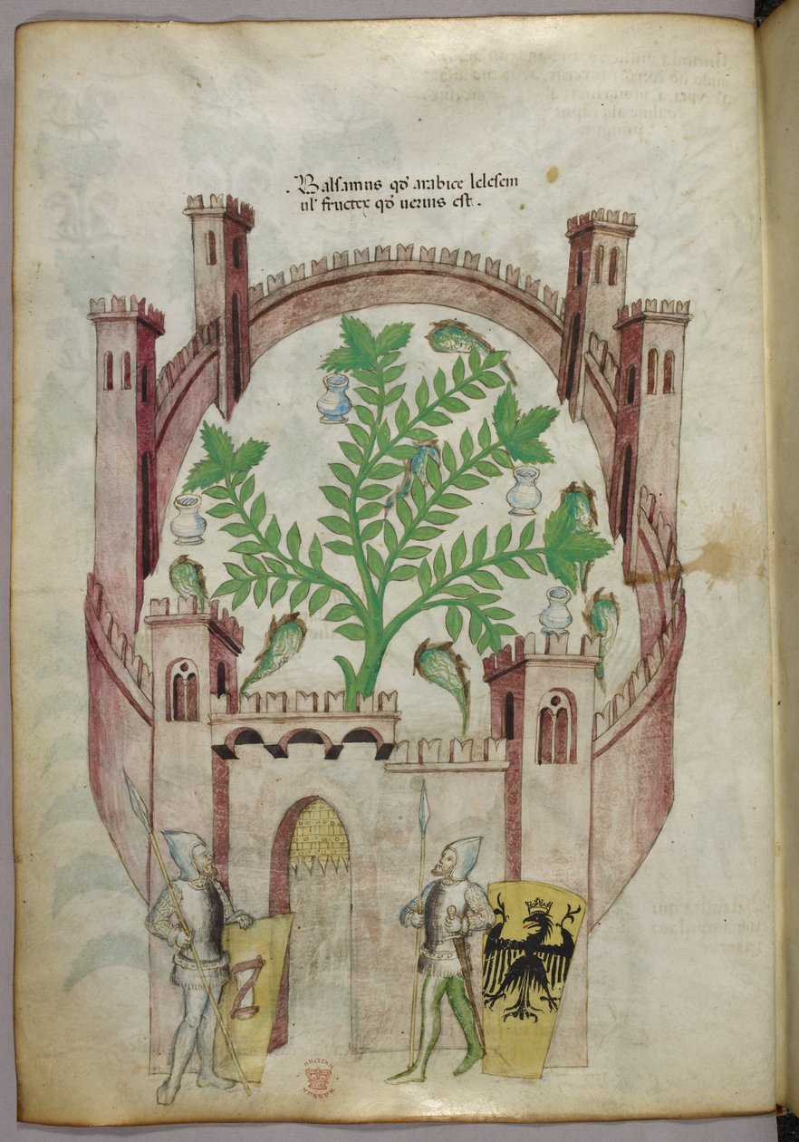 Illustration av balsamträdgården i Kairo (Fustat), med sju vattenbassänger och krukor för att fånga upp balsamen, en växt i mitten, med två riddare i rustning som flankerar porten, med sköldar med heraldiska vapen, ca 1440 (bläck  färg på pergament) av Italian School
