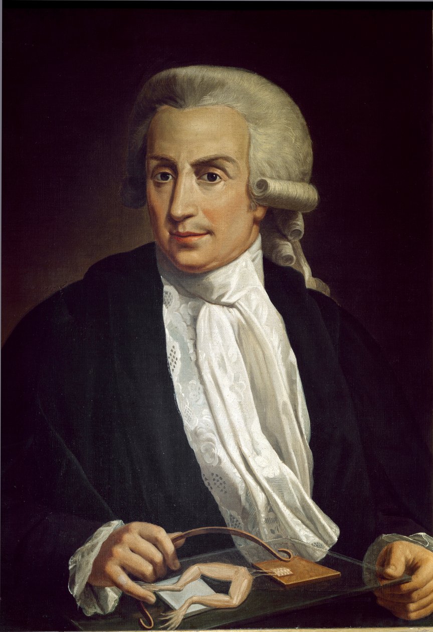 Luigi Galvani med grodexemplar av Italian School
