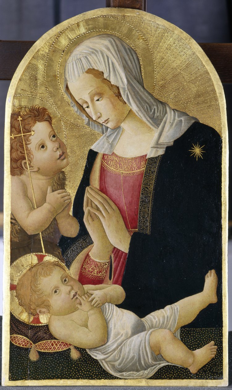 Madonna och barn med Johannes Döparen, ca 1460 (tempera på poppelträ) av Italian School