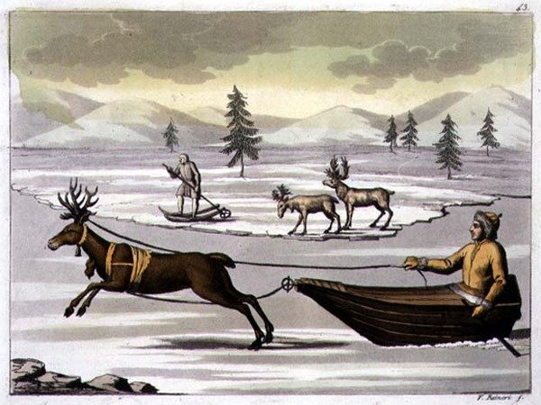 Han- och honrenar och en lappare på sin släde dragen av en ren, skylt 43 från 