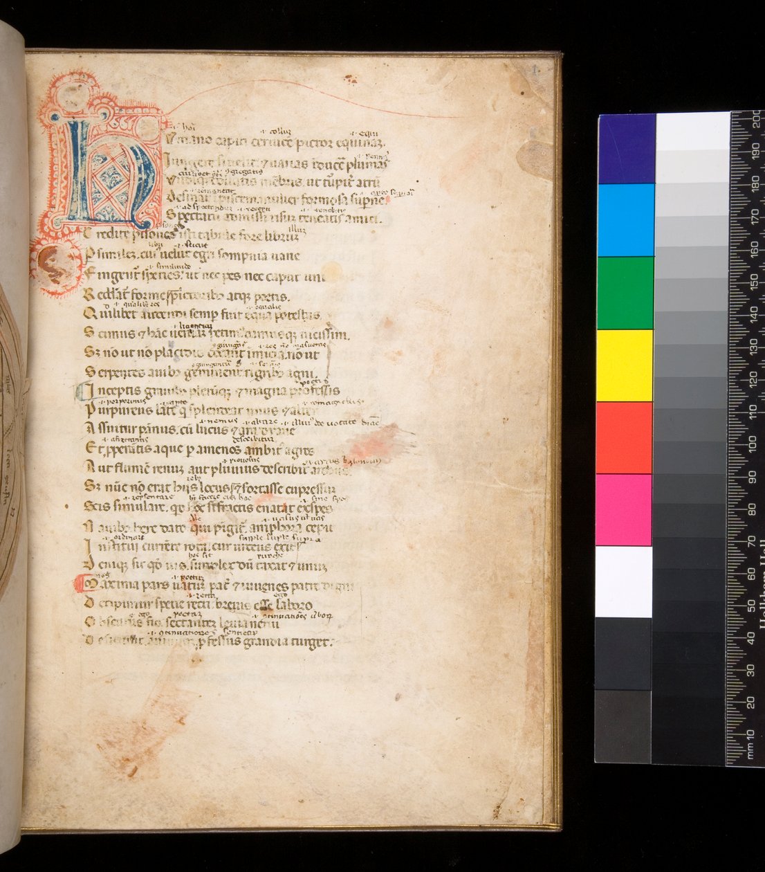 Ms 315. Horace, Ars Poetica och Epistulae, f.1r. Dekorerad initial [N] i blå och röd blöjfyllning och omgivande penna i rött av Italian School