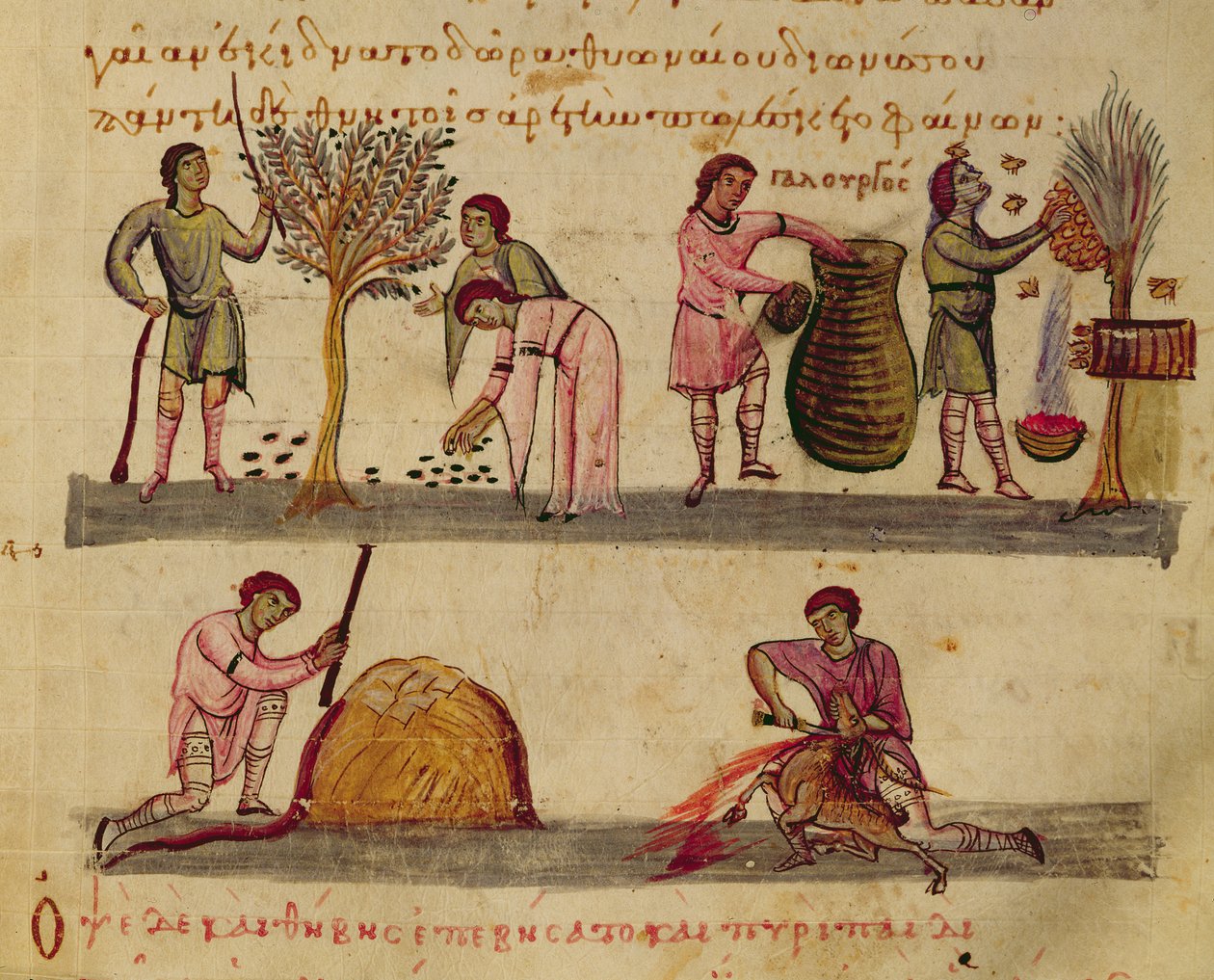 Ms Grec 479 Arbetar i fält, illustration från Cynegetica av Oppian (tempera på vellum) av Italian School