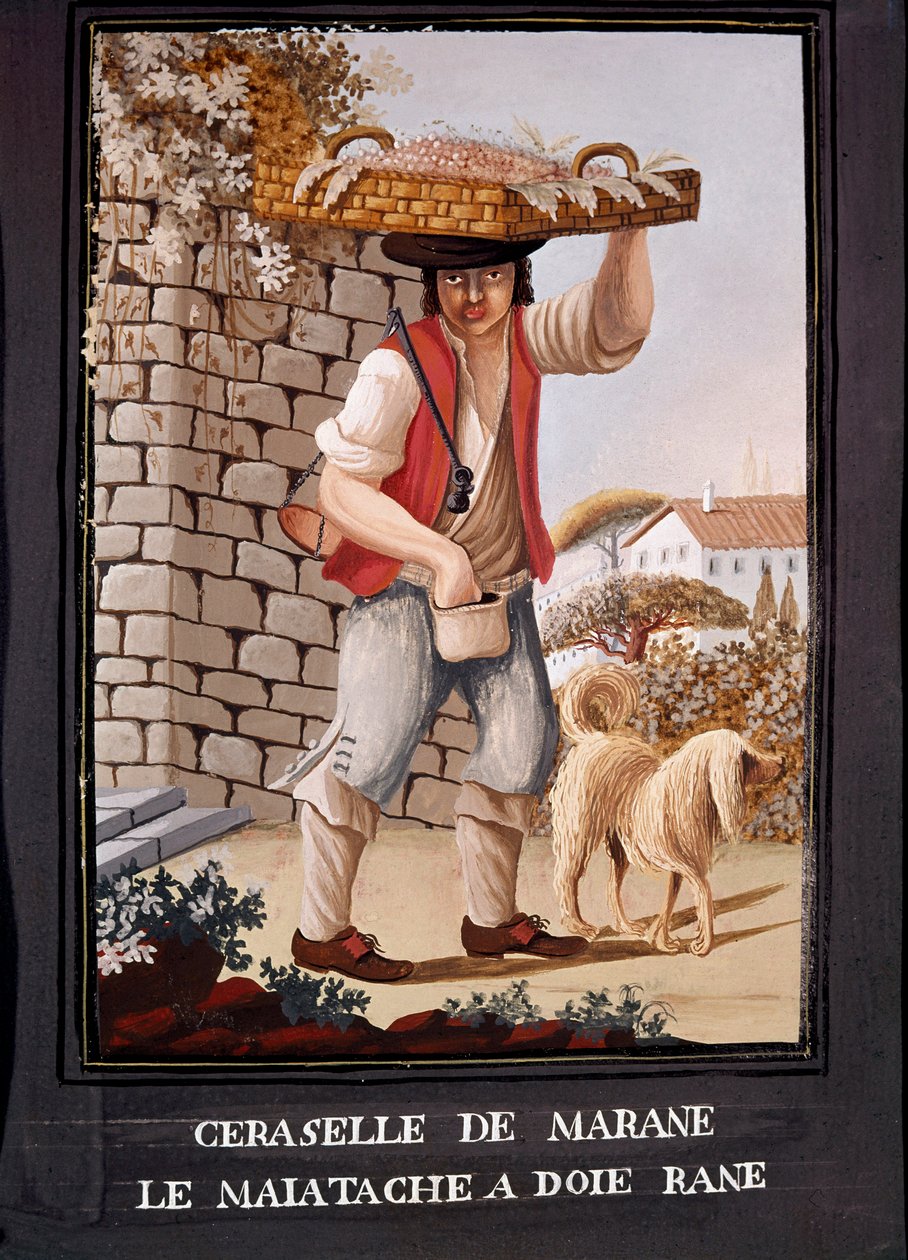 Napolitanska metiers: säljaren av körsbär från Marasca - (Gammal handel: marasca körsbärssäljaren) 1800-talets akvarell - Neapel Museo Nazionale di San Martino av Italian School