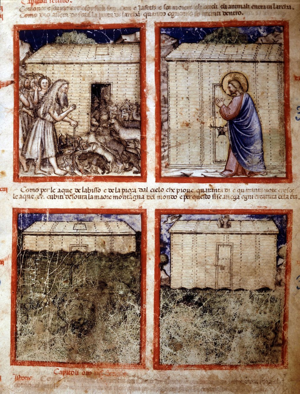 Noaks ark, miniatyr hämtad från codex 212 (eller Padovano Codice eller Bible of Padua) 1390-1400 Rovigo, Accademia dei Concordi av Italian School